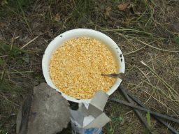 exp-zr-2009 442